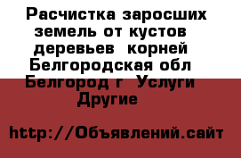 Расчистка заросших земель от кустов , деревьев, корней - Белгородская обл., Белгород г. Услуги » Другие   